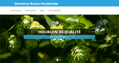 Desktop Screenshot of brunehoublonde.com