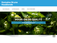 Tablet Screenshot of brunehoublonde.com